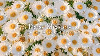 daisy meadow 🤍 soft piano for calm mornings, reading & sleep screenshot 3