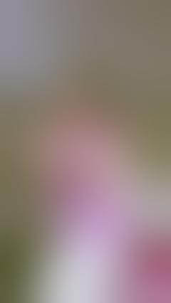 semok | montok | mamah muda | hot | spicy | pargoy | goyang | ebot | dance | twerk