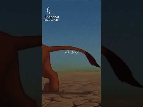 هكونا متاتا ذكريات تيمون و بومبا