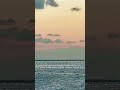 Sundown to Nightfall | Setouchi in Motion