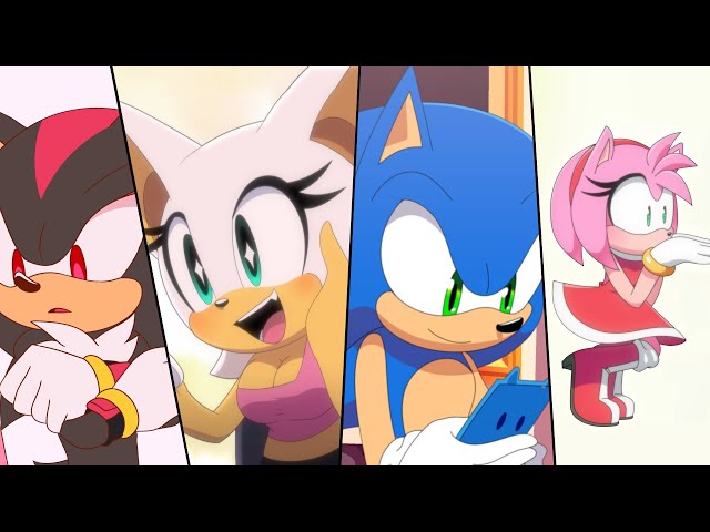 SONIC TEAM ANIMATED  COMPLETE EDITION class=
