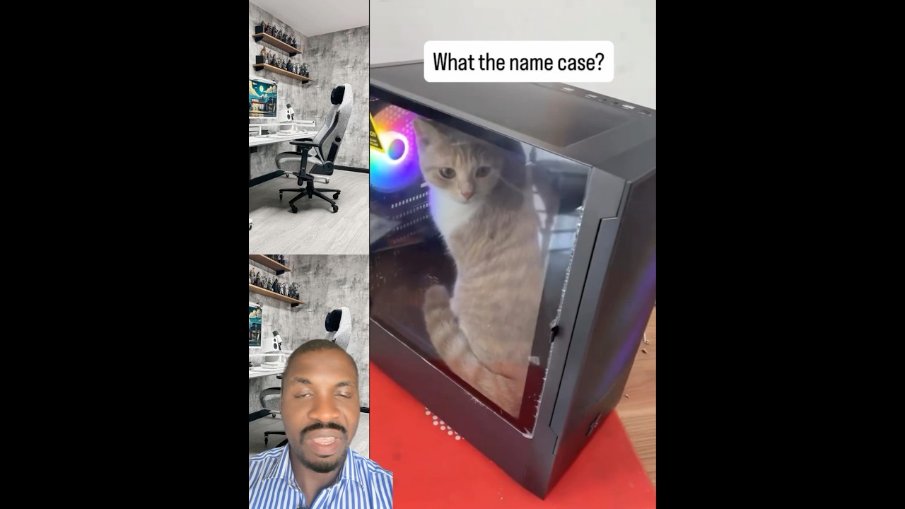 Cat inside gaming PC