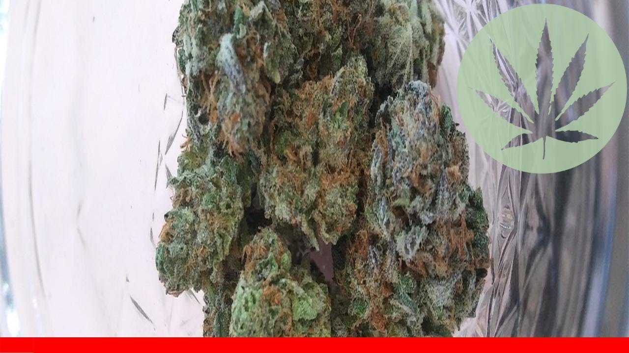 Grape Krush - All About This Strain