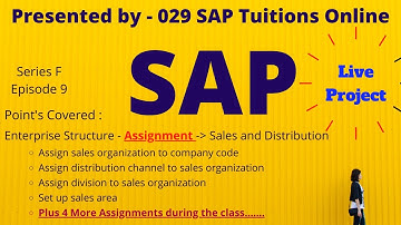 SAP | Enterprise Structure Assignment | Sales and Distribution - Complete | All 10 Steps Completed |