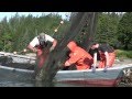 Seining Sunshine