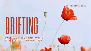 1hr Drifting Melodies: Relaxing Music for Mindful Tranquility