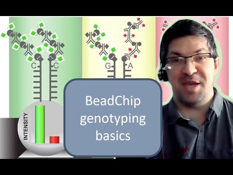 Video: Evaluasi Kritis Microarray Illumina MethEPEP BeadChip Untuk Profil Metilasi DNA Genom Seluruh