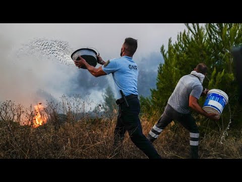 Unfassbare Flammenwand. Die Feuerwehr im Kampf gegen Waldbrände (REUPLOAD) | ZDFinfo Doku