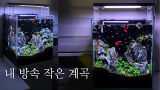 청룡석으로 어항 안에 계곡 만들기