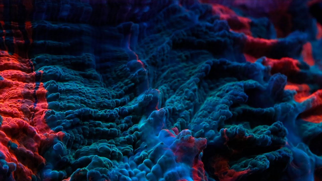 Timekeeper - Coral Morphologic