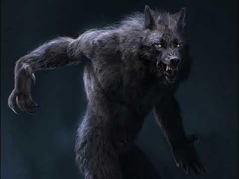 Оборотни в реальной жизни. Вервольф волк оборотень 2008. А4 стали оборотнями. А4 стали оборотнями. Волки 2014 джейсон момоа.