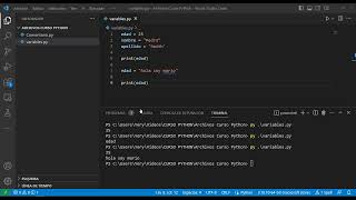 Celebrity Python 6 Course - Variables in Python Profile