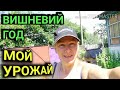 Сбор урожая в июле