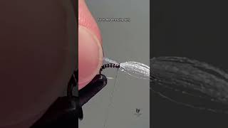Manhattan Midge | Quick Tie | #flytying #flyfishing #tutorial #explore #learning