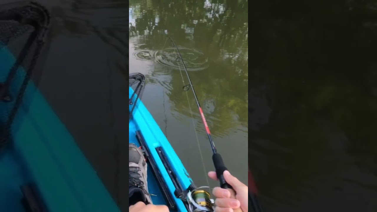 Crappie attacks Rapala X-Rap next to my kayak