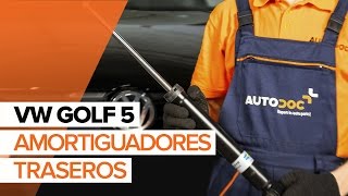 Cómo reemplazar Amortiguador GOLF V (1K1) - vídeo manual paso a paso