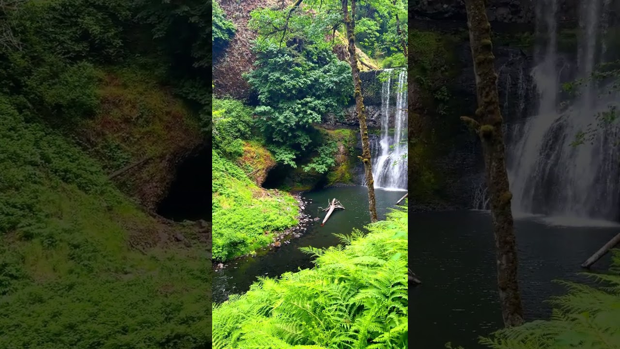 The stream pulls you in, winding through trees and moss-covered rocks.