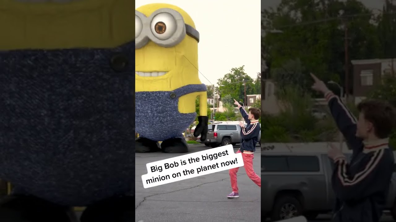 Respect the Minion 