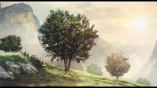 JW’s Convention ‘Peace’