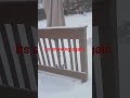 it's snowing again