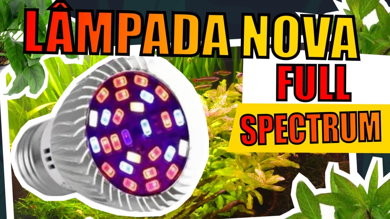 🔴COLOQUEI LÂMPADAS NOVAS NOS MEUS AQUÁRIOS PLANTADOS  |Mr. Betta|