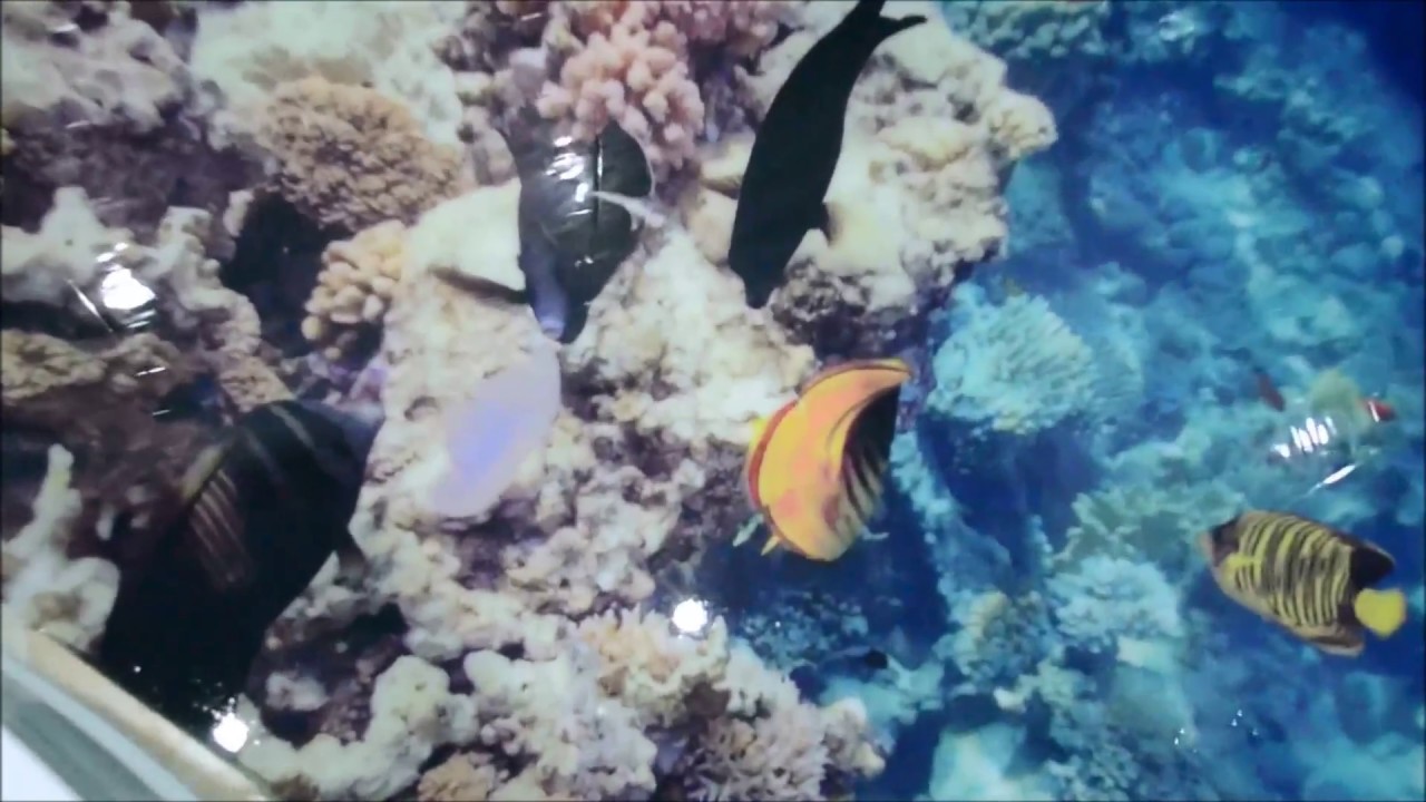 3D Floor coating with Epoxy Resin, Coolest 3D Epoxy Flooring Design for 2018