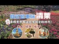 清萊秘境般的景點 Thai- CHIANG RAI| | 絕美董山皇太后行宮花園 | 泰緬邊境 磐禧村 - 在高山咖啡廳邊看美景邊喝咖啡 | 睡美人洞 | 清萊必吃黃色早餐車 | 清萊夜市