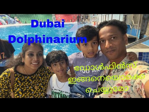 DUBAI DOLPHINARIUM| must visit place #dubai