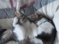 夢の中へ