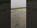 একদিনে লাঘ পানি, আকাশের অবস্থা ভালো নেই।