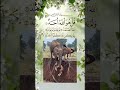 Heart-Touching Recitation- Surah Al-Ikhlas...✨#ikhlas#imranjazbaat#foryou#sorts##egzonibrahimi#love
