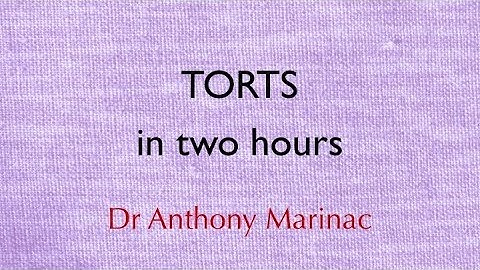Tort Law in Two Hours