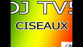 Dj Tv5 Ciseaux