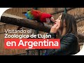 Visitando el Zoológico de Luján en Argentina - Estudiar y vivir en Argentina