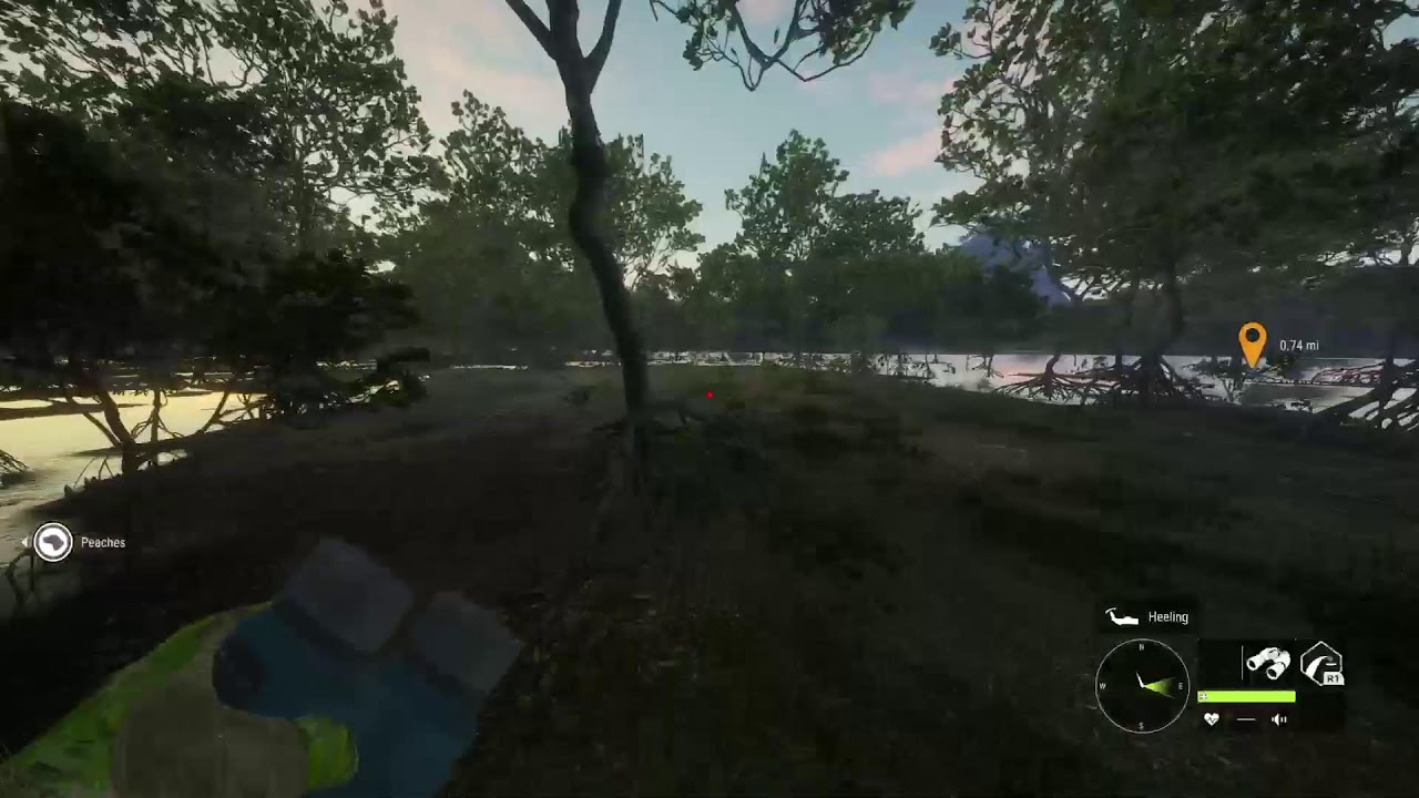 COTW Fallow Deer Grind LETS GO YouTube cotw-fallow-deer-grind-lets-go-youtube