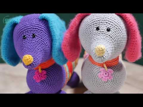 Video: Hoe Een Teckel Te Breien