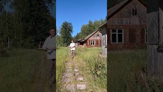 Интересный рост деревьев на месте снесенных зданий
