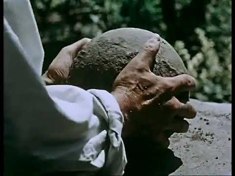 დოკუმენტური ფილმი \"საპოვნელა\"