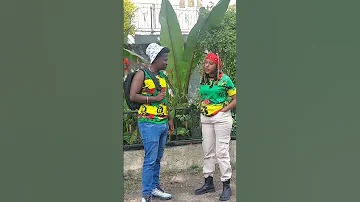 Aflafikir Ethiopiantiktok Seifuonebs Dinklijoch 