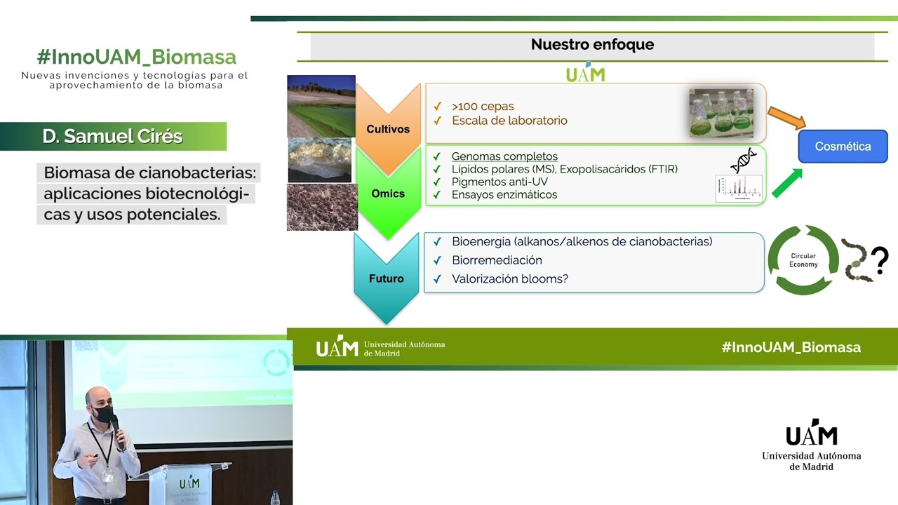 Biomasa de cianobacterias: aplicaciones biotecnológicas y usos potenciales - InnoUAM_Biomasa