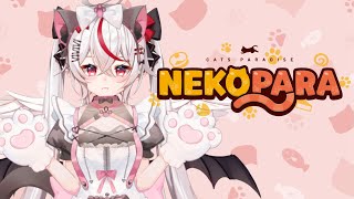 【Nekopara】Catgirls are the cutest!