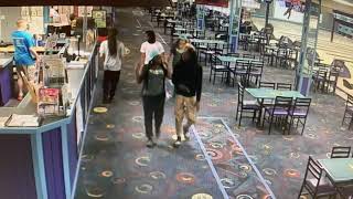 SUSPECTS STEAL KEYS/VEHICLES WHILE PATRONS PLAY VOLEYBALL-KNOW THEM?