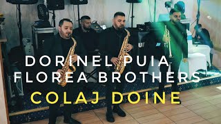 Video thumbnail of "Dorinel Puia Florea Brothers 🟡Colaj Doine 👉Live 2024"