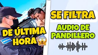 SANTO DIOS🚨😱 SE FILTRA AUDIO DE ESTÉ PANDILLERO (NO CREERÁS TODO LO QUE DICE)😱