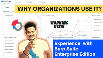 Why Organization Uses Burp Suite Enterprise Edition ? Experience Shared | Burp Enterprise Features