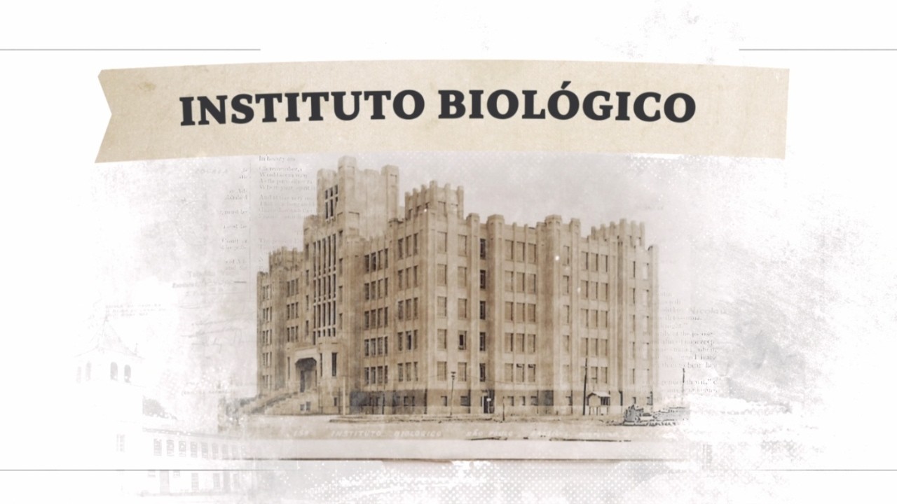 Arquivo SP | Ep 05. Instituto Biológico
