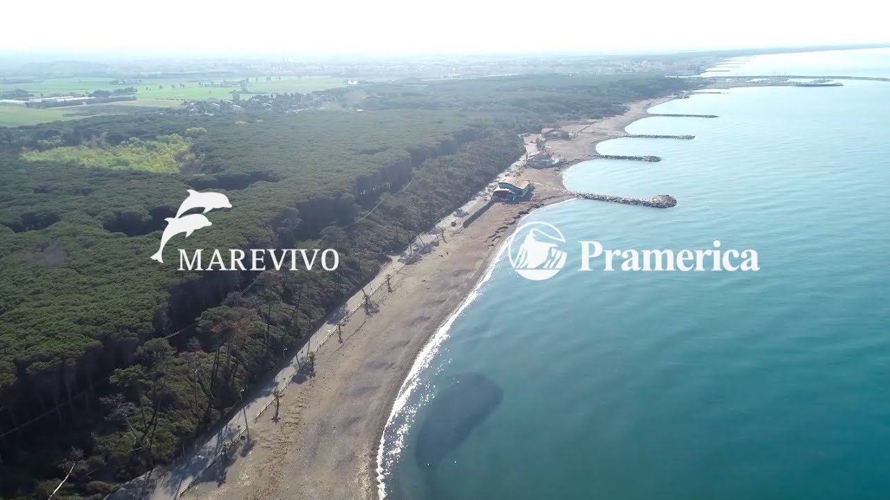 Posidonia Oceanica Da Rifiuto A Risorsa YouTube