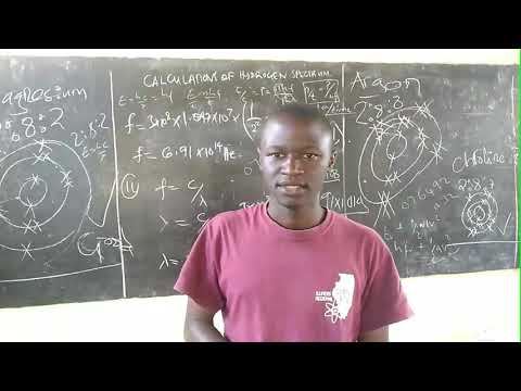 Video: Vitabu 5 Vya Mbwa Vya Kusoma-lazima Kwa Likizo
