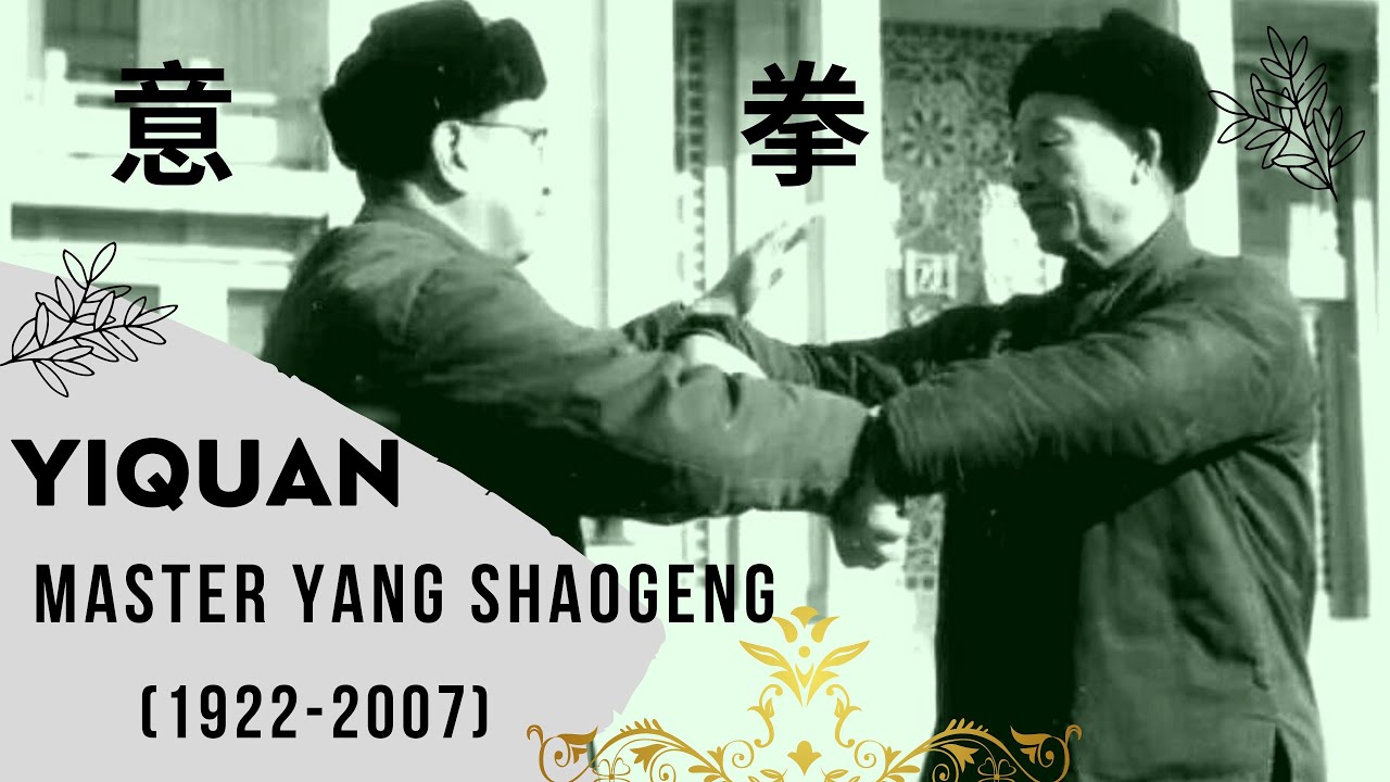 Yiquan Master Yang Shaogeng #yiquan #dachengquan #wangxiangzhai