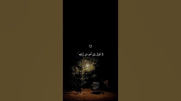 اخر ايتين في سوره البقره امن الرسول بما انزل اليه من ربه والمؤمنون بصوت عبد العزيز الغوري